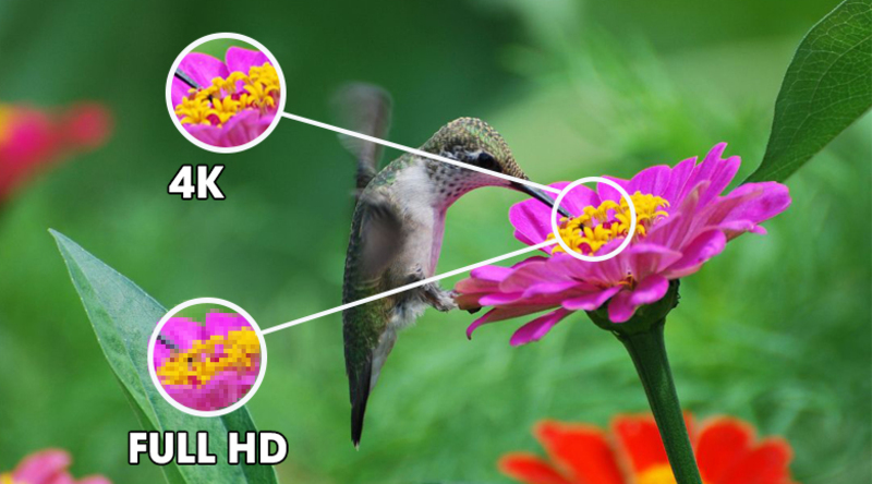 Smart Tivi LG 4K 75 inch 75UP7800PTB