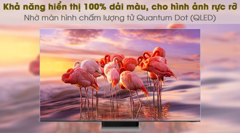 Smart Tivi QLED 4K 43 inch Samsung QA43Q65A