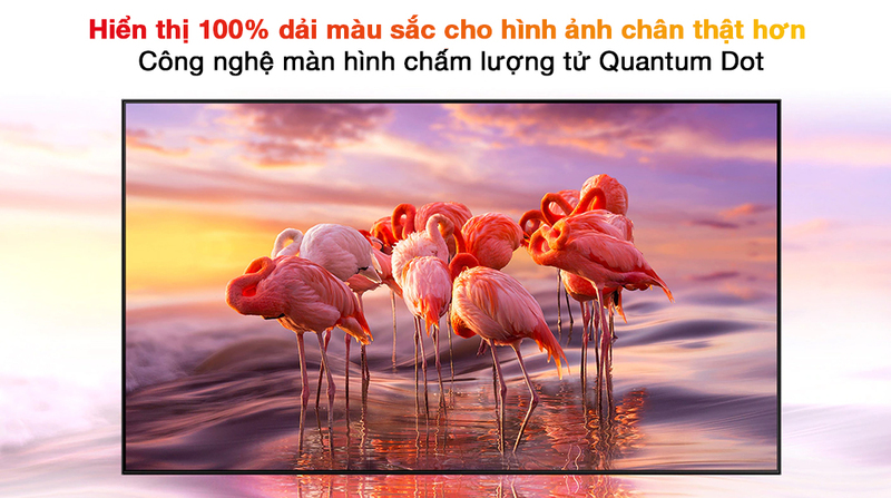Smart Tivi QLED 4K 55 inch Samsung QA55Q70A