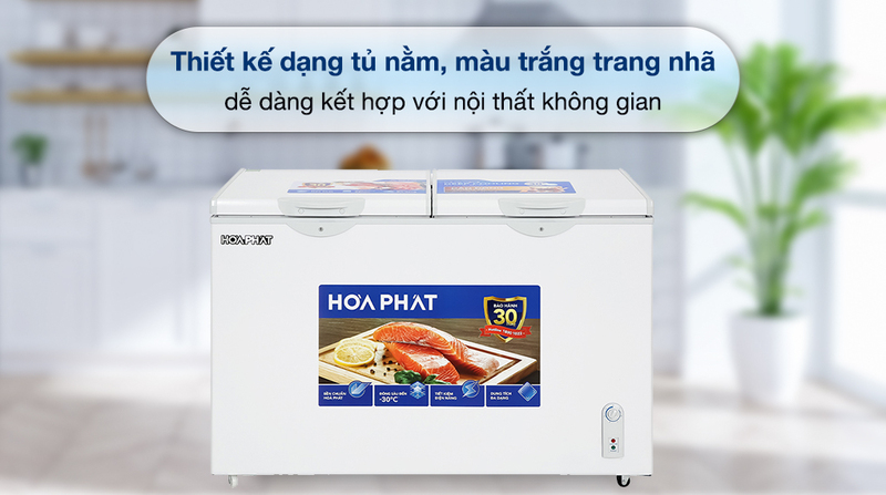 Tủ đông Hòa Phát 352 lít HPF AN6352
