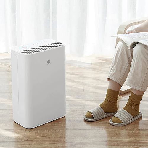 Máy hút ẩm Xiaomi New Widetech 12L
