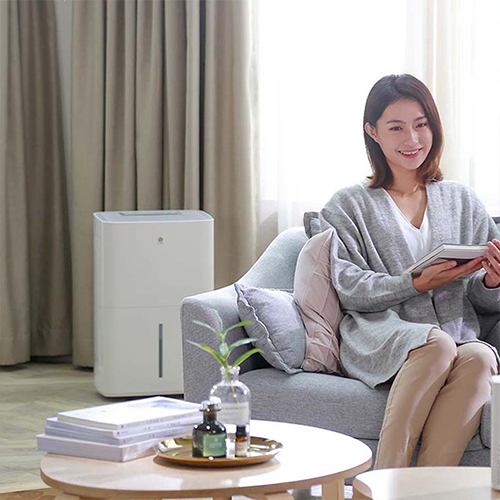 Máy hút ẩm Xiaomi New Widetech 30L